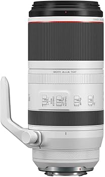 Amazon.com : Canon RF 100-500mm F4.5-7.1 L is USM Super